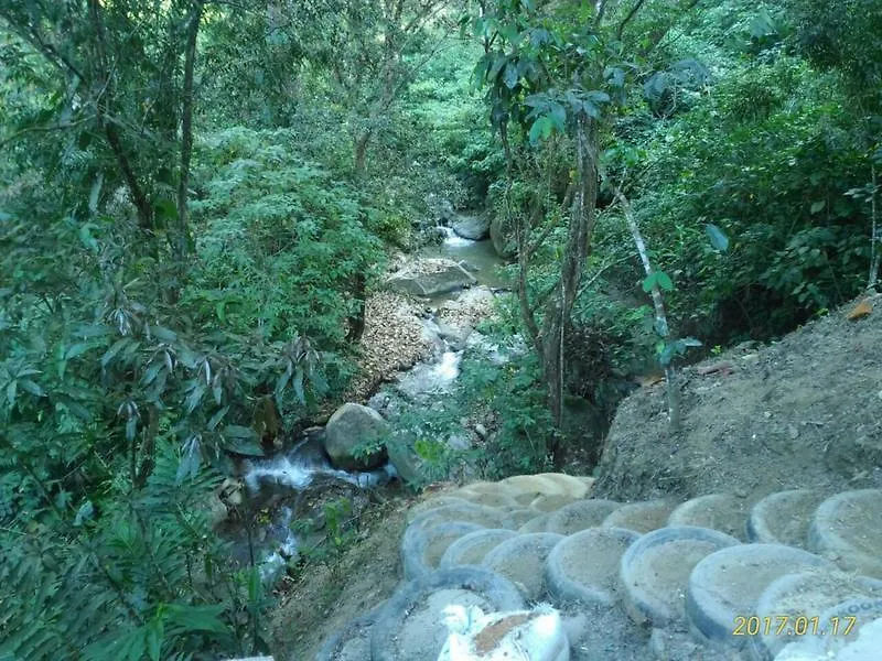 Bed and breakfast Minca Tree House Hostel Santa Marta Santa Marta  Colombia